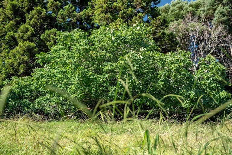 Photo of property in 84 Edmonds Road, Kerikeri, 0293