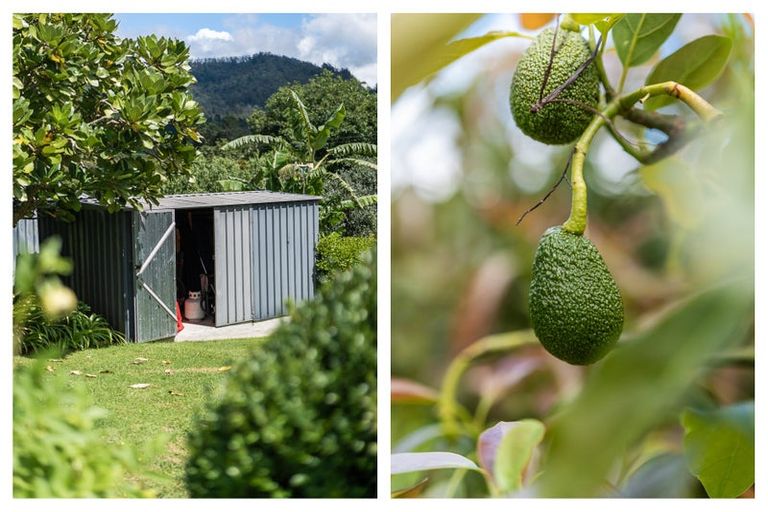 Photo of property in 38 Tanners Point Road, Tanners Point, Katikati, 3177