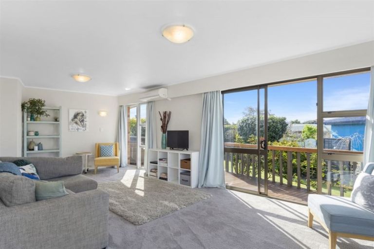 Photo of property in 18 Vine Avenue, Maungatapu, Tauranga, 3112