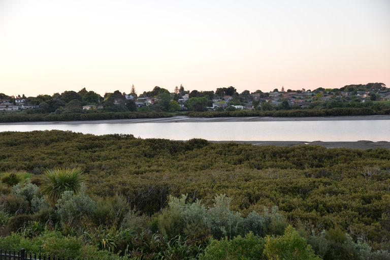 Photo of property in 3 Iwinuku Crescent, Wattle Downs, Auckland, 2103