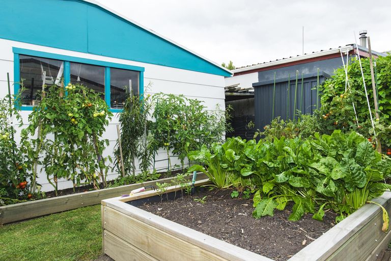 Photo of property in 1 Elsdon Best Street, Riverdale, Gisborne, 4010