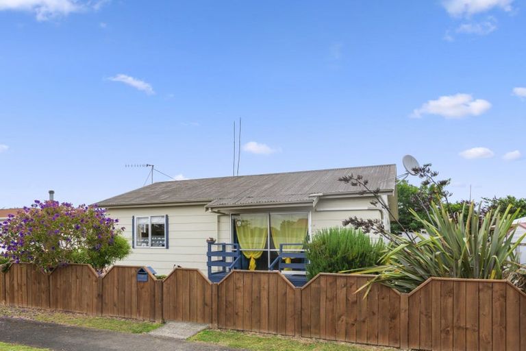 Photo of property in 10a Braemar Street, Levin, 5510