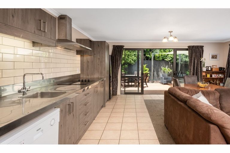 Photo of property in 20 Collingwood Street, Judea, Tauranga, 3110