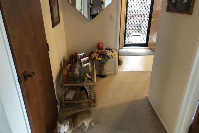 Photo of property in 15 Cook Street, Foxton, 4814