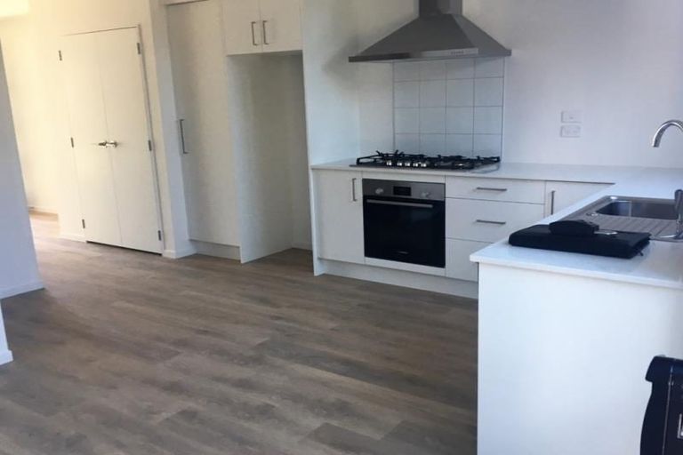 Photo of property in 46 Gecko Road, Hobsonville, Auckland, 0616