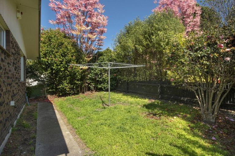 Photo of property in 15a King Street, Te Puke, 3119