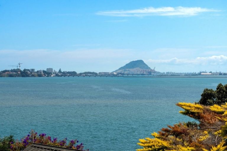 Photo of property in 266 Maungatapu Road, Maungatapu, Tauranga, 3112