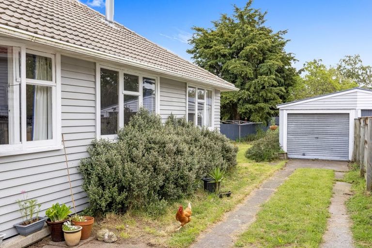 Photo of property in 34 Maire Street, Wairakei, Taupo, 3332