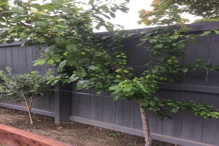 Photo of property in 131 Middle Road, Allenton, Ashburton, 7700