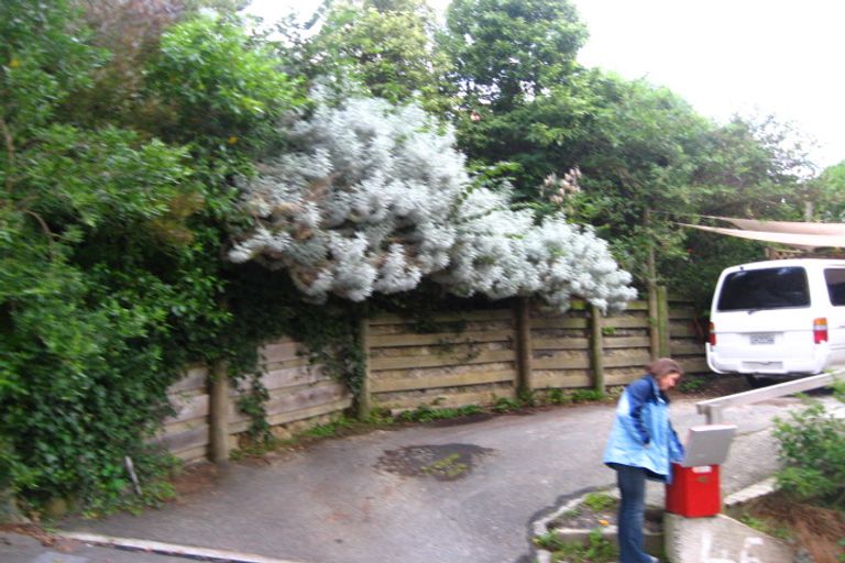 Photo of property in 46 Morrison Street, Caversham, Dunedin, 9012