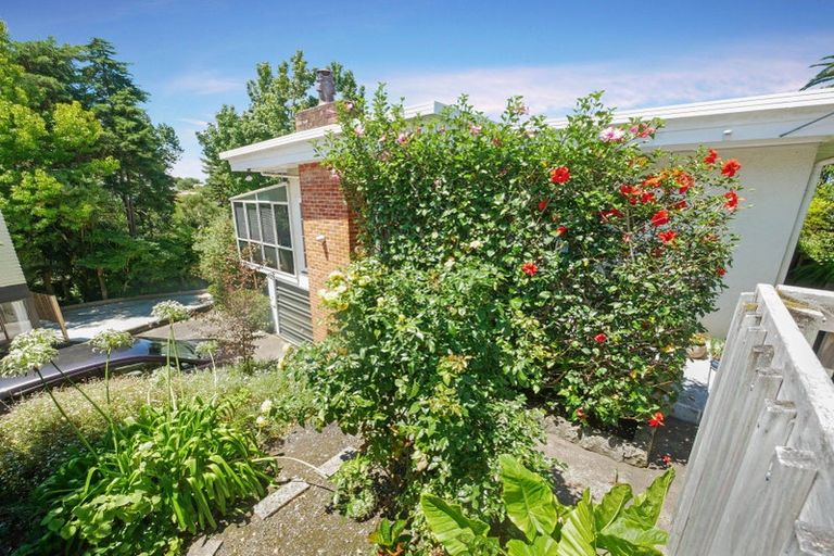 Photo of property in 10 Ormond Road, Hospital Hill, Napier, 4110