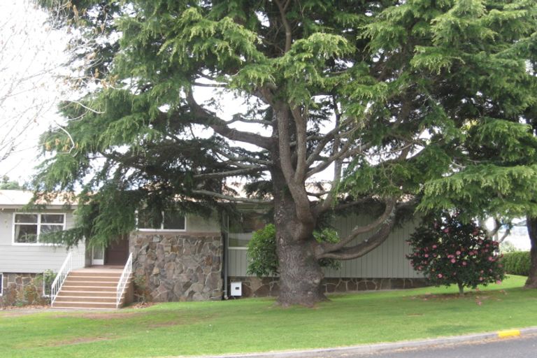 Photo of property in 90 Ninth Avenue, Tauranga, 3110