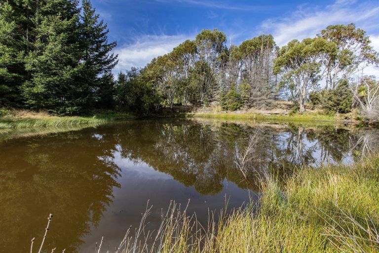 Photo of property in 253 Mount Lyford Forest Drive, Lyford, Waiau, 7395