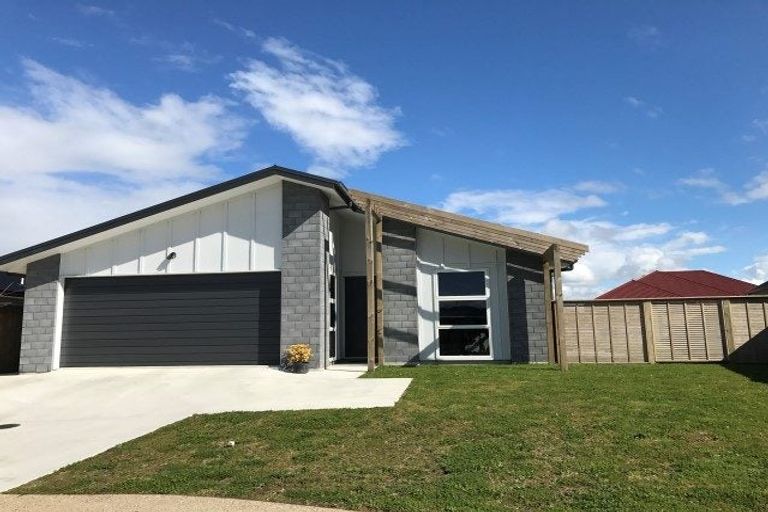 Photo of property in 104 Te Ranga Memorial Drive, Pyes Pa, Tauranga, 3112