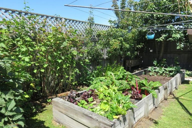 Photo of property in 38 Gammack Street, Temuka, 7920