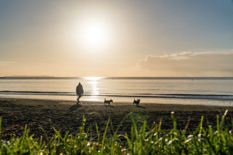 Photo of property in The Victor, 208/4 Bute Road, Browns Bay, Auckland, 0630