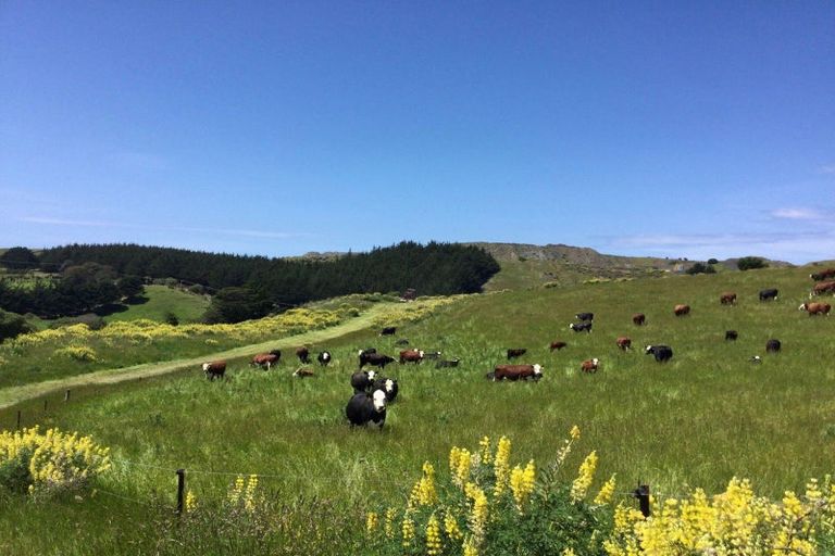 Photo of property in 310 Blackhead Road, Blackhead, Dunedin, 9076