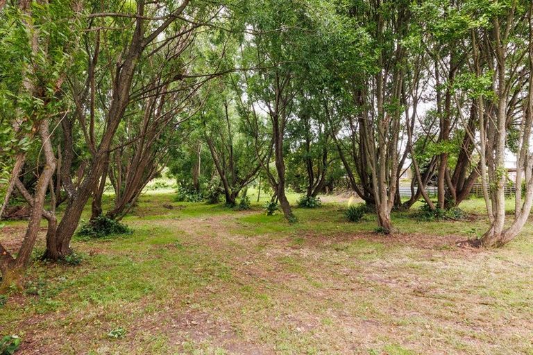 Photo of property in 38 Campbell Road, Bunnythorpe, Palmerston North, 4481