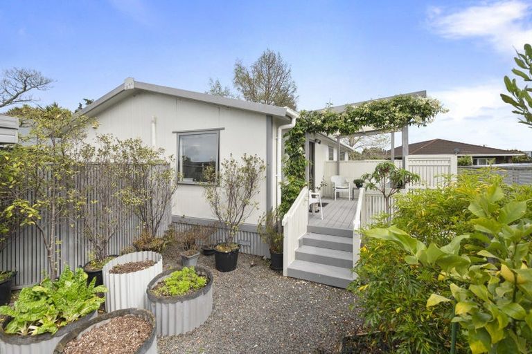 Photo of property in 43a Armagh Terrace, Marton, 4710