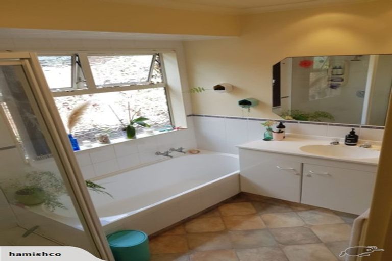 Photo of property in 44b Leander Street, Mount Maunganui, 3116