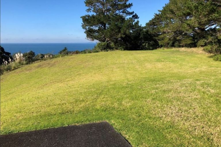 Photo of property in 17 Palm View Terrace, Gulf Harbour, Whangaparaoa, 0930