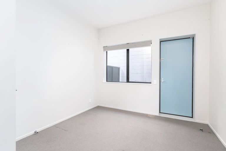Photo of property in Aniva Terrace, 14 Arney Street, Newtown, Wellington, 6021