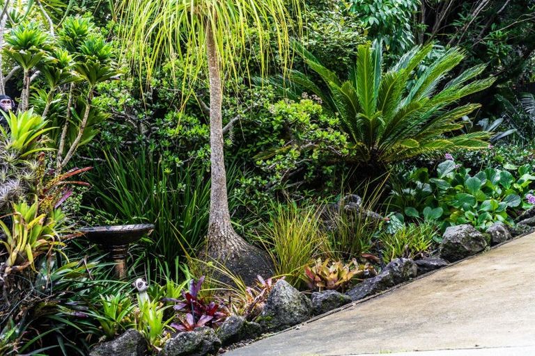 Photo of property in 92 Awaruku Road, Torbay, Auckland, 0630