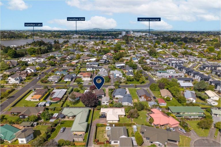 Photo of property in 51 Gilbass Avenue, Hamilton Lake, Hamilton, 3204