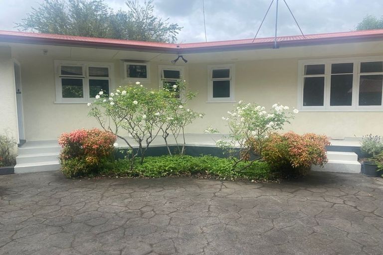 Photo of property in 45 Alfred Street, Roslyn, Palmerston North, 4414