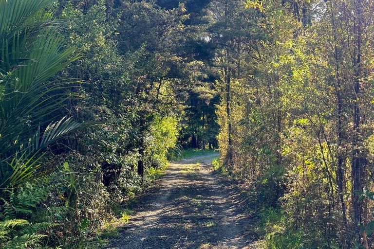 Photo of property in 208 Sunnyside Road, Coatesville, Albany, 0793