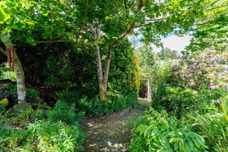 Photo of property in 31 Lake View Street, Waihola, Milton, 9073