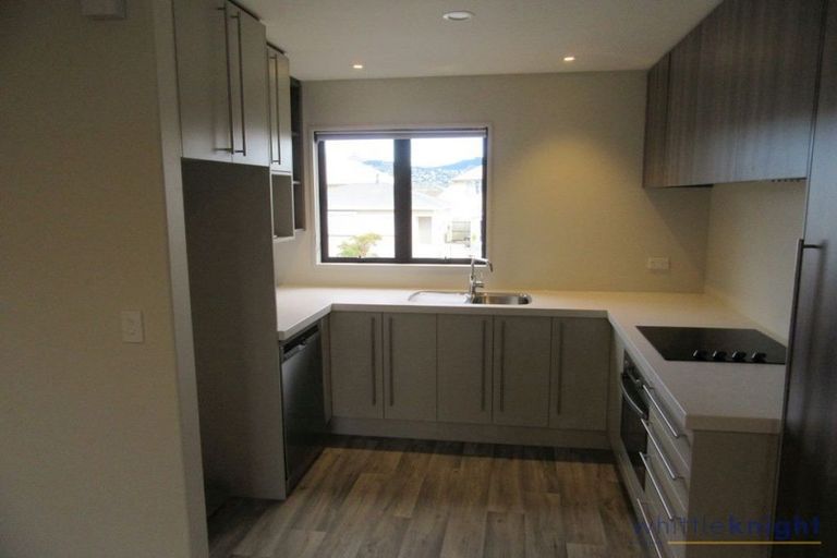 Photo of property in 87 Burke Street, Addington, Christchurch, 8024