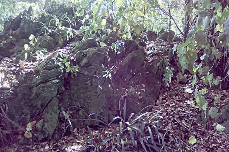 Photo of property in 6 Pukeatua Road, Maungatapere, Whangarei, 0179