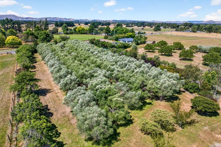 Photo of property in 277 Upper Plain Road, Upper Plain, Masterton, 5888