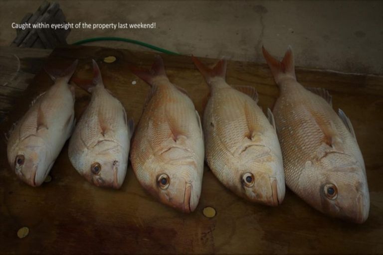 Photo of property in 54 Links View Drive, Omokoroa, 3114