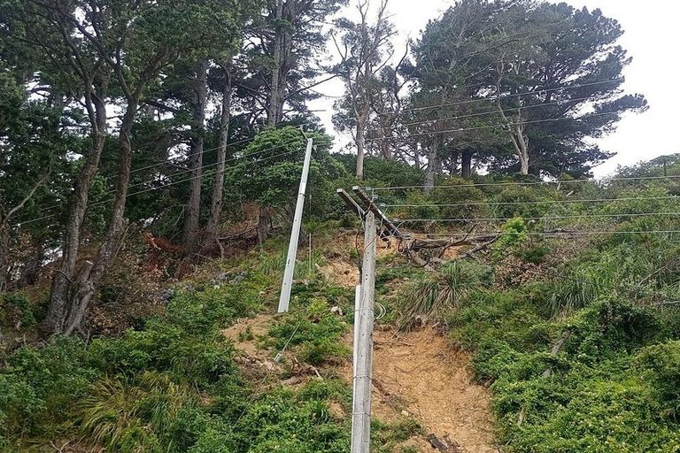 Photo of property in 818 Thames Coast Sh25 Road, Tapu, Thames, 3575