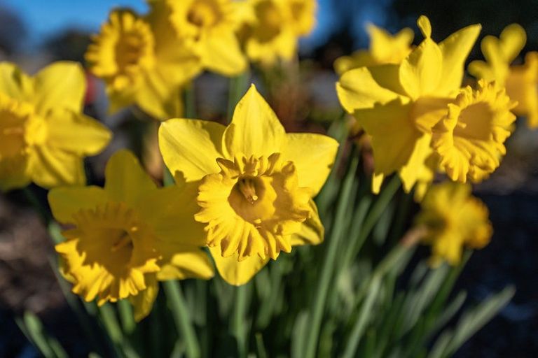 Photo of property in 90 Colebrook Road, Edgecumbe, Whakatane, 3193