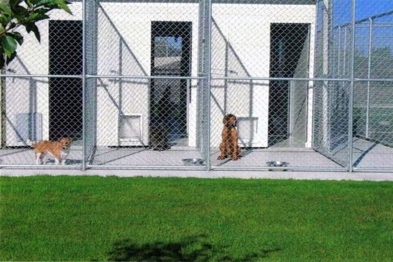 Photo of property in 459 Fernside Road, Fernside, Rangiora, 7471