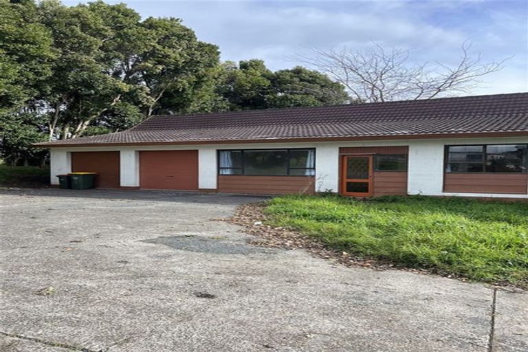 Photo of property in 85 Longhorn Drive, Flat Bush, Auckland, 2019
