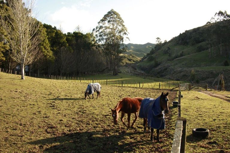 Photo of property in 6339 Matawai Road, Matawai, 4075