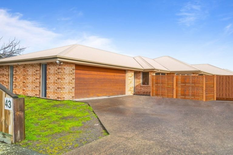 Photo of property in 43 Diamond Avenue, Spreydon, Christchurch, 8024