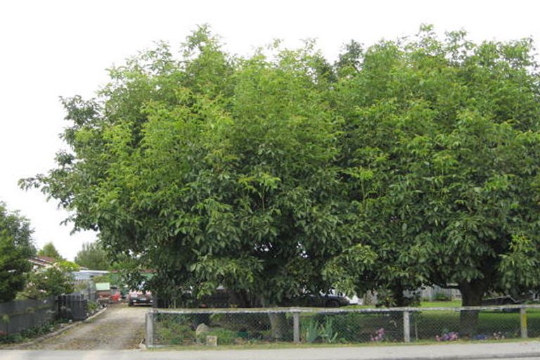 Photo of property in 30 Maude Street, Temuka, 7920