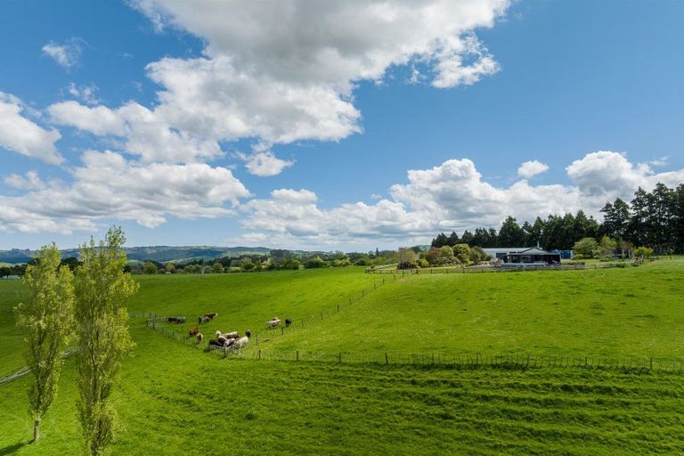 Photo of property in 51 Hinewa Road, Otumoetai, Tauranga, 3110