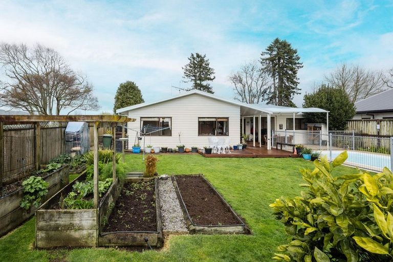 Photo of property in 233 Lamb Street, Leamington, Cambridge, 3432