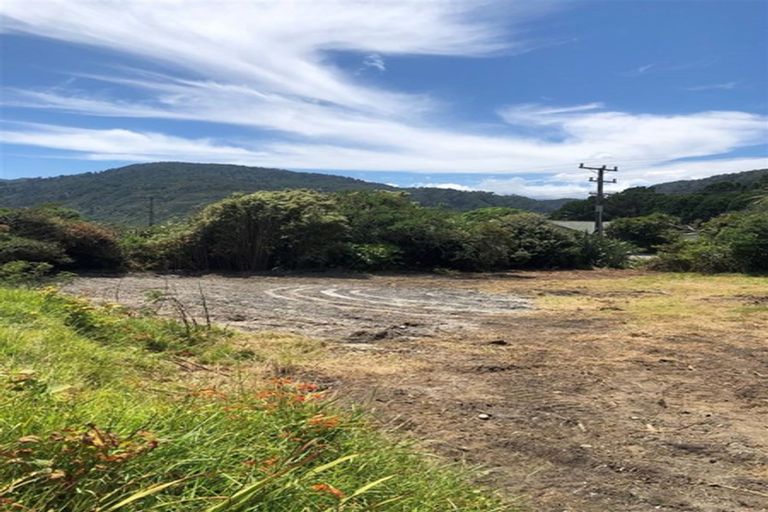 Photo of property in 21 Main Rd Ngakawau, Hector, 7822