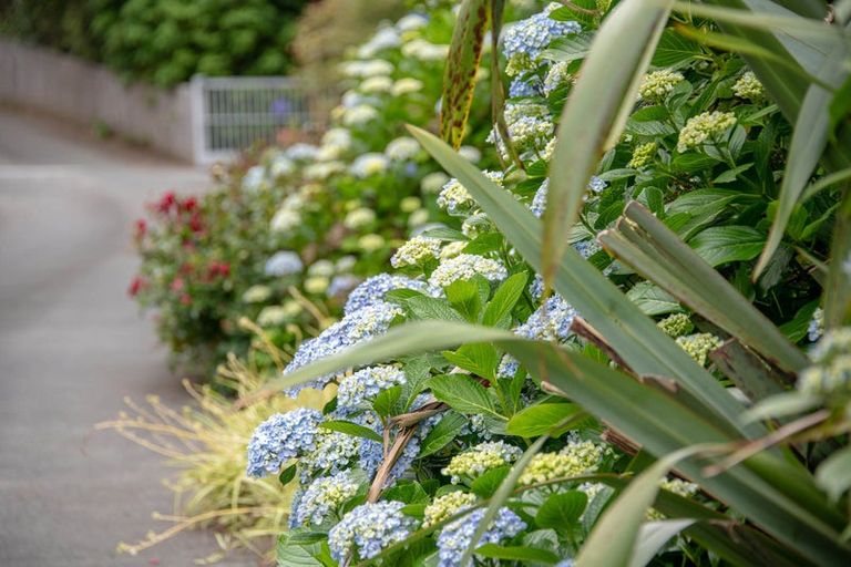 Photo of property in 65 Mahurangi East Road, Snells Beach, Warkworth, 0982