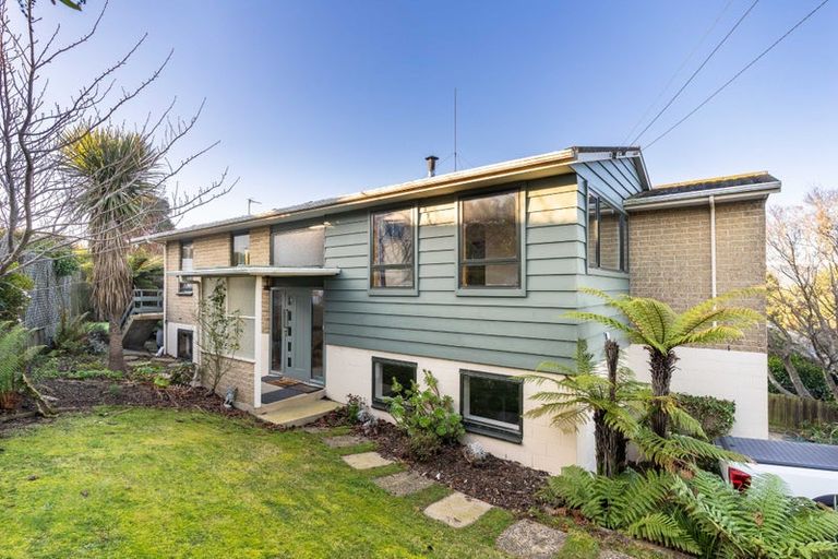 Photo of property in 135 Balmacewen Road, Wakari, Dunedin, 9010