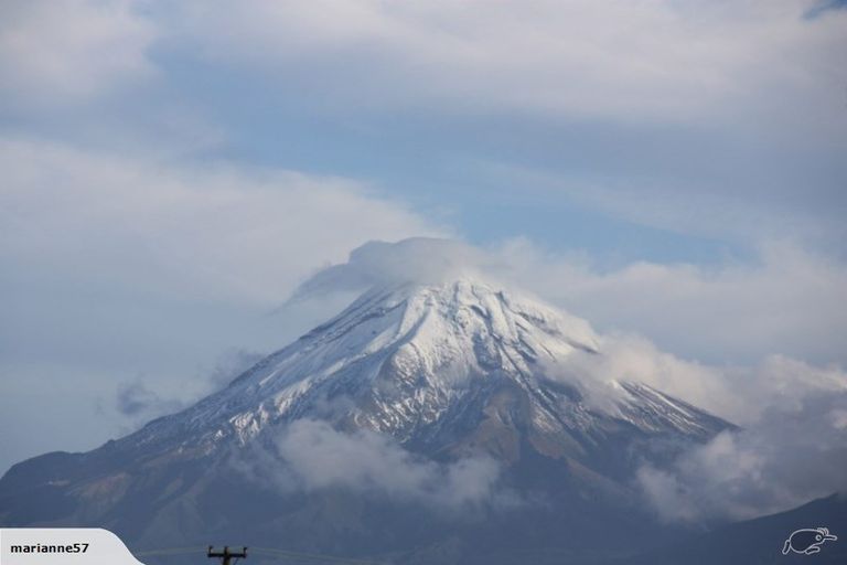 Photo of property in 11 Kotare Drive, Waiwhakaiho, New Plymouth, 4312