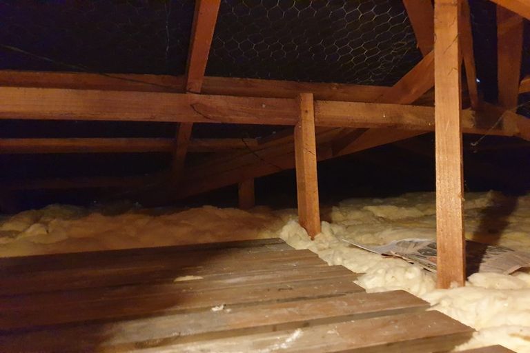 Photo of property in 12 Elm Street, Mangapapa, Gisborne, 4010