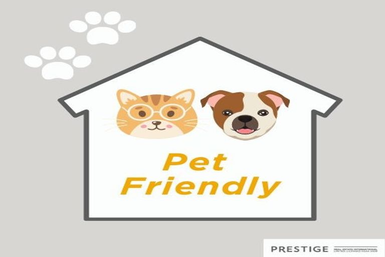 Photo of property in 8 Dodson Avenue, Milford, Auckland, 0620